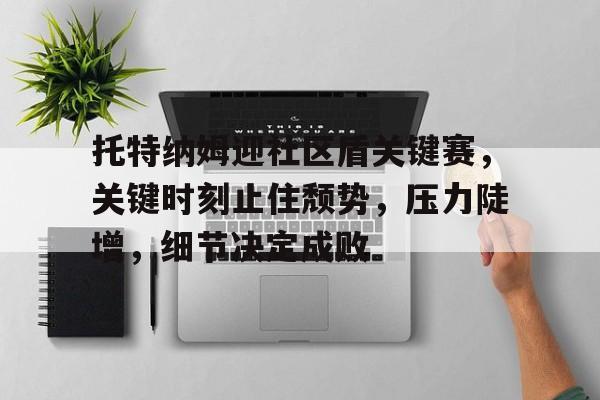 开云在线-关于托特纳姆迎社区盾关键赛，关键时刻止住颓势，压力陡增，细节决定成败的信息