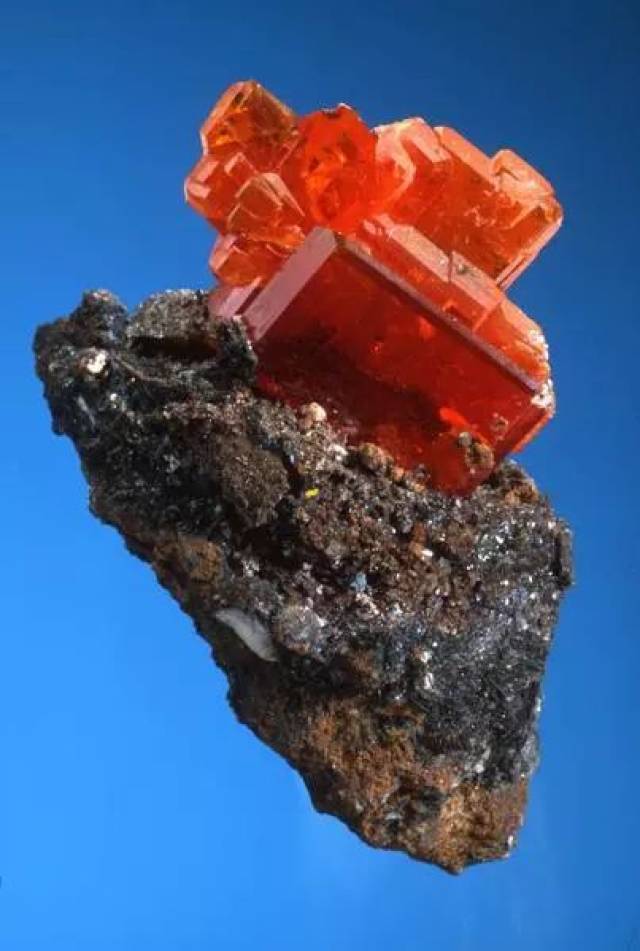 开云体育入口-.涯?瘍l?钼1〃??的简单介绍